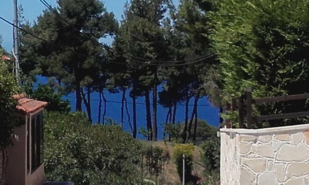 Villa Minthi Posidi Exterior foto